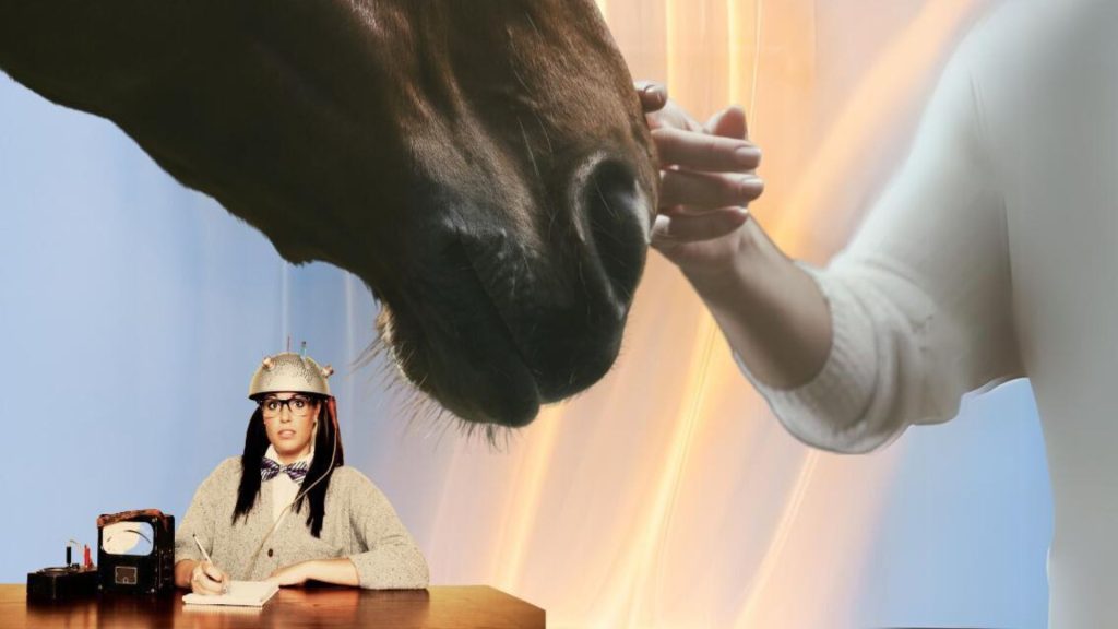 Nelea Vital Blog Übergewicht beim Reiten