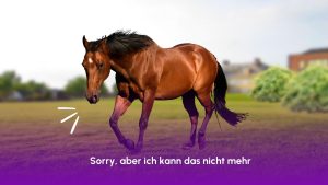 Nelea Vital Blog Übergewicht beim Reiten
