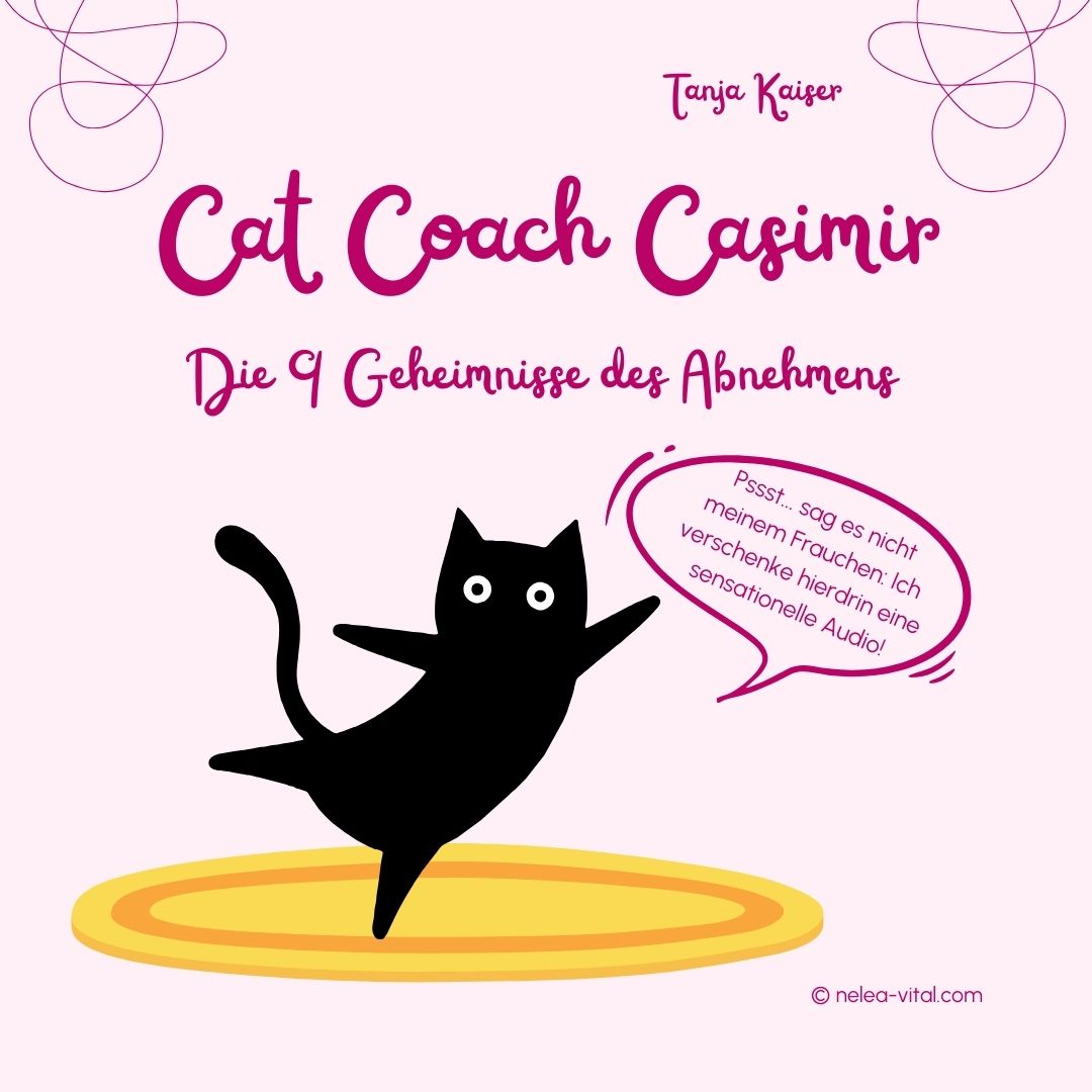 Cat Coach Casimir NEU