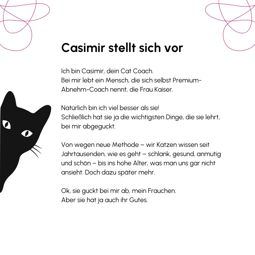 Cat Coach Casimir NEU(1)