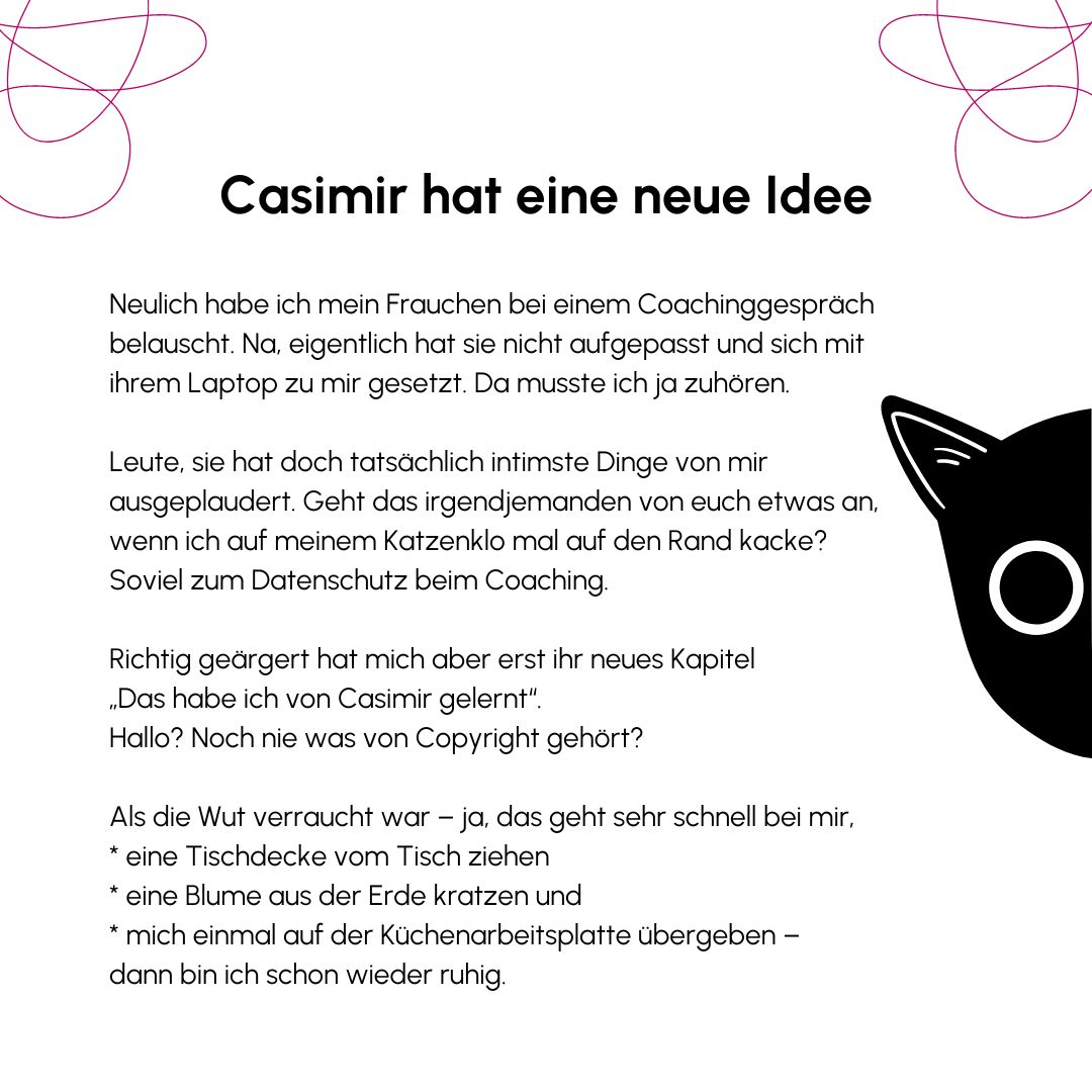 Cat Coach Casimir NEU(2)